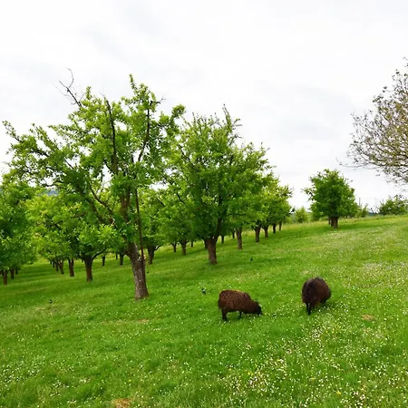 Pouchalou - Clevacances 2 Cles Tournon-dʼAgenais