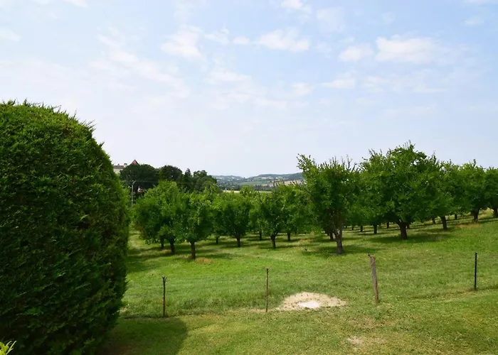 Pouchalou - Clévacances 2 Clés * Tournon-dʼAgenais